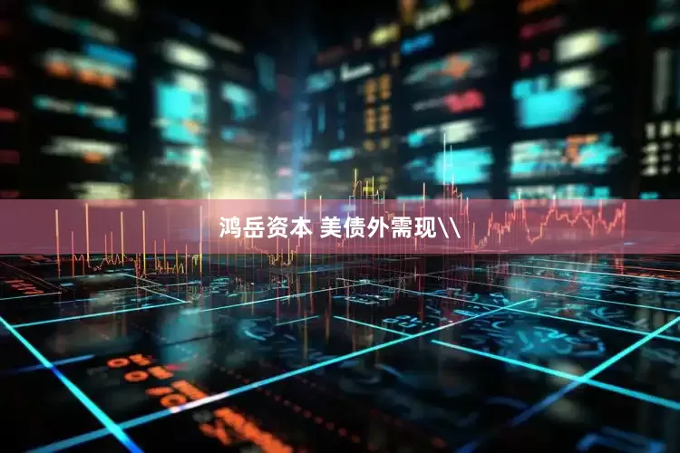 鸿岳资本 美债外需现\