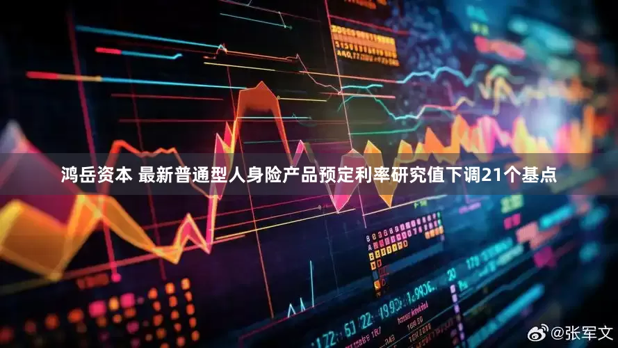 鸿岳资本 最新普通型人身险产品预定利率研究值下调21个基点
