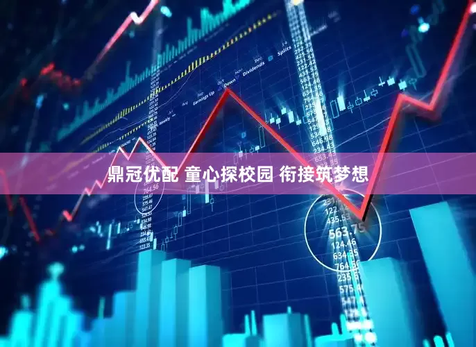 鼎冠优配 童心探校园 衔接筑梦想