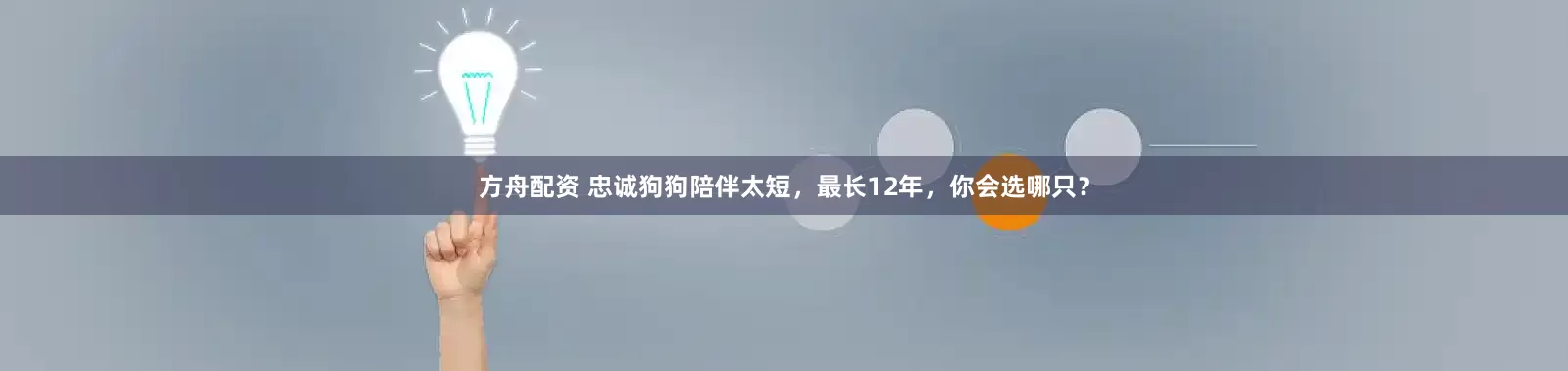方舟配资 忠诚狗狗陪伴太短，最长12年，你会选哪只？
