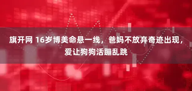 旗开网 16岁博美命悬一线，爸妈不放弃奇迹出现，爱让狗狗活蹦乱跳