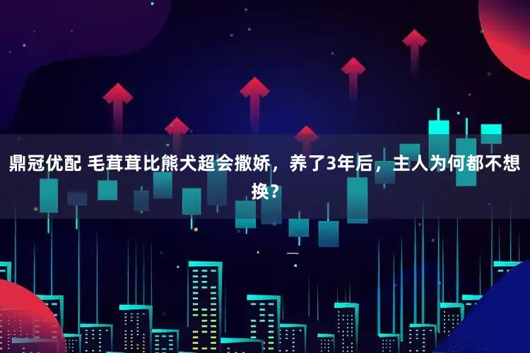 鼎冠优配 毛茸茸比熊犬超会撒娇，养了3年后，主人为何都不想换？