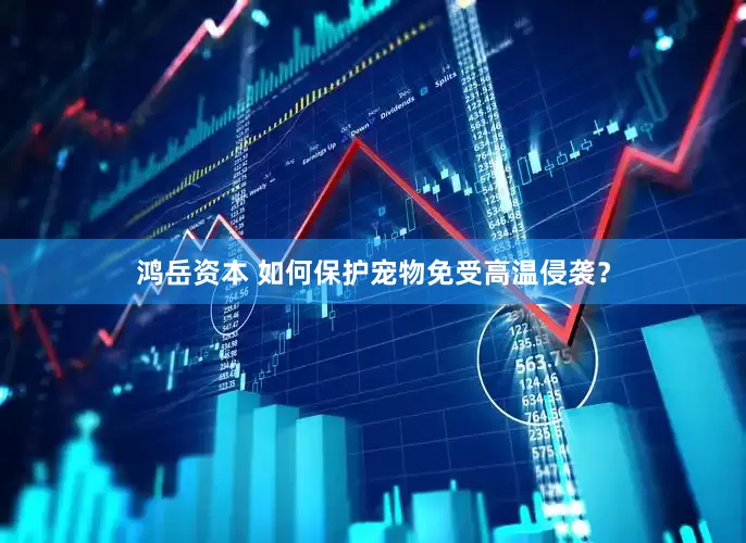 鸿岳资本 如何保护宠物免受高温侵袭？