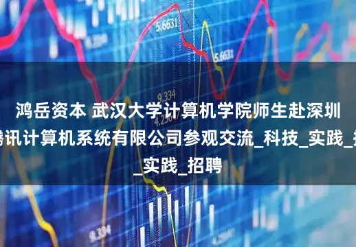 鸿岳资本 武汉大学计算机学院师生赴深圳市腾讯计算机系统有限公司参观交流_科技_实践_招聘